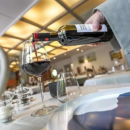 Hotel Logis Restaurant Le Mont Aigoual 3*