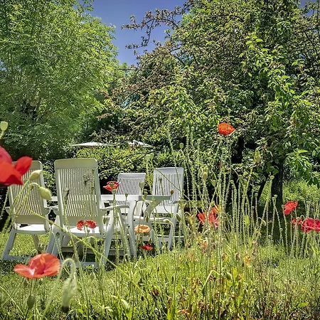 Hotel Logis Le Mont Aigoual 3*