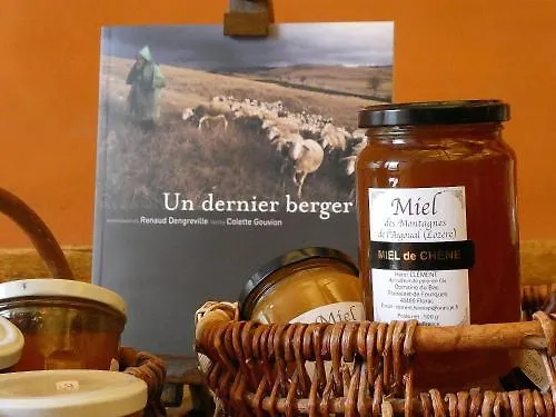 Hotel Logis Restaurant Le Mont Aigoual 3*
