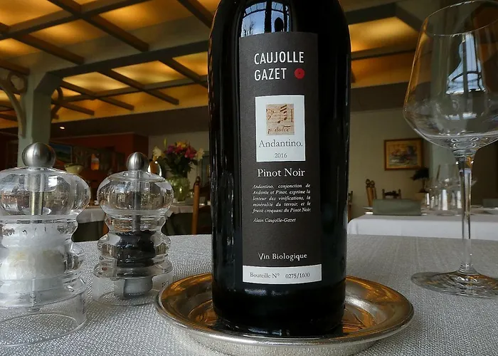 Hotel Logis Restaurant Le Mont Aigoual Meyrueis